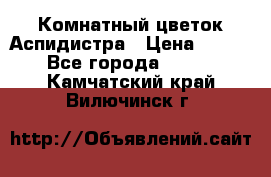 Комнатный цветок Аспидистра › Цена ­ 150 - Все города  »    . Камчатский край,Вилючинск г.